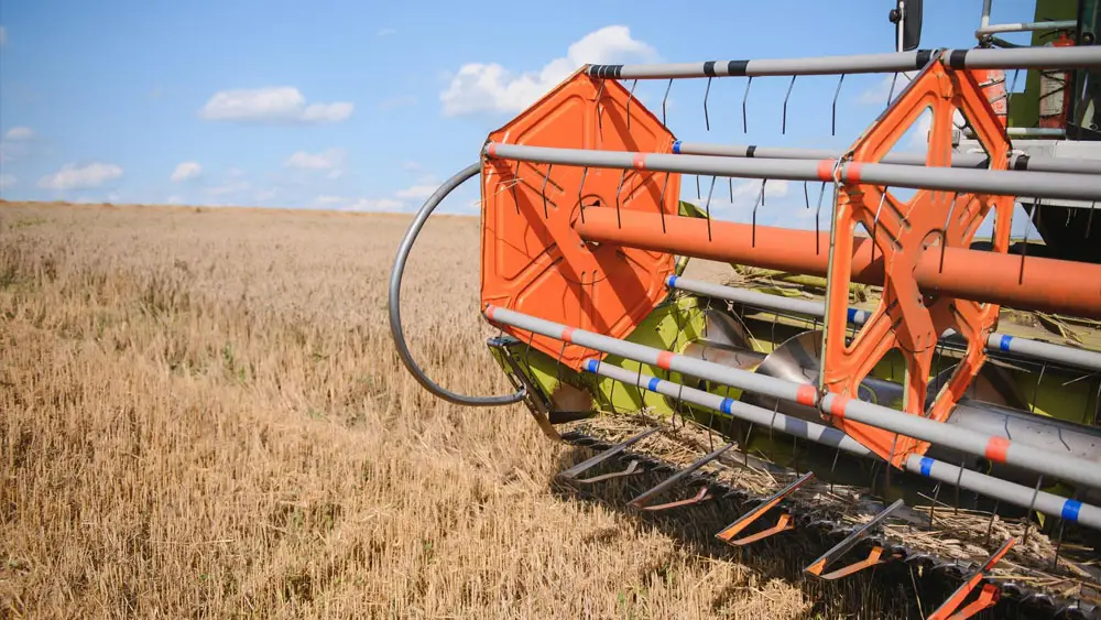 Where does it come from?